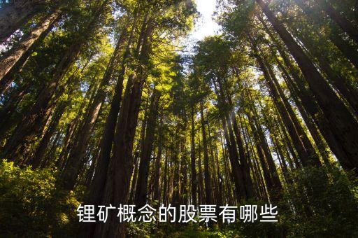锂矿概念的股票有哪些