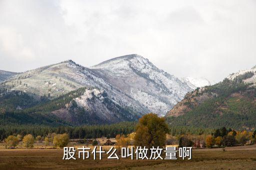股票里什么叫放量上涨呢，放量上涨是什么意思谢谢