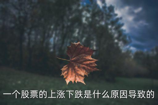 一个股票的上涨下跌是什么原因导致的