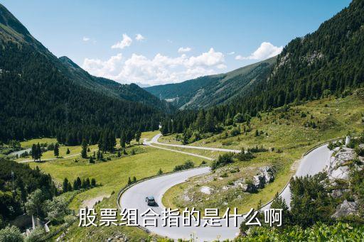 股票组合指的是什么啊