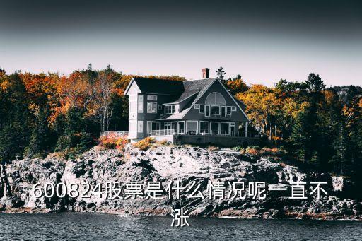 600824股票是什么情况呢一直不涨