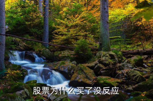 股票未响应是什么原因，为什么我华泰证券炒股软件打不开一直没有响应