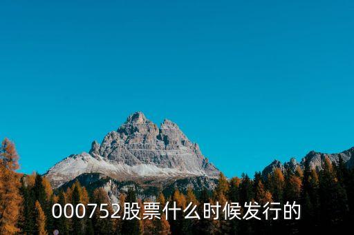 000752股票什么时候发行的