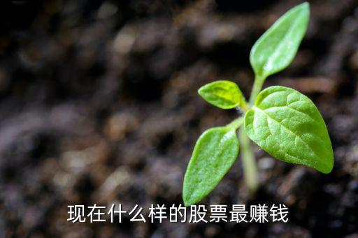 现在什么样的股票最赚钱