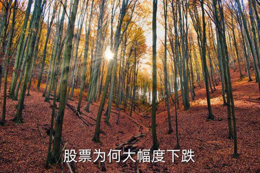为什么股票价格会降价，股票为什么会下跌