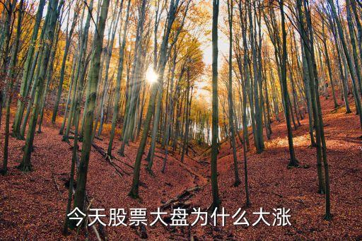 今天股票大盘为什么大涨