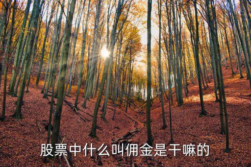 股票和佣金有什么用呢，股票开户佣金是什么意思