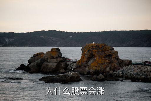 股市为什么这么多股票上涨，为什么股票会涨