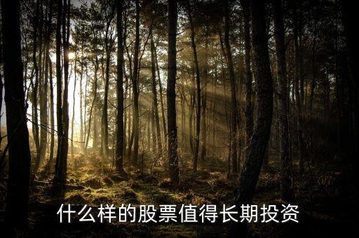 什么样的股票值得长期投资