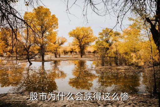 股市为什么会跌得这么惨