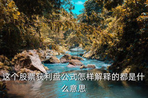 这个股票获利盘公式怎样解释的都是什么意思