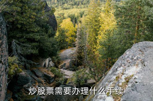 现在做股票需要什么手续，炒股需要那些手续