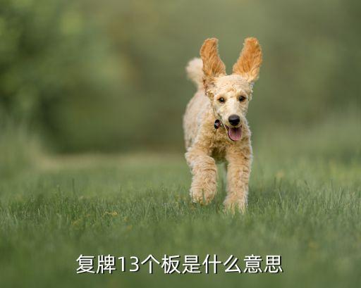 复牌13个板是什么意思