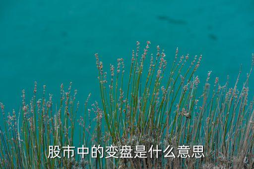 股票变盘时间是什么意思，都说20151119这天是股票变盘日什么意思