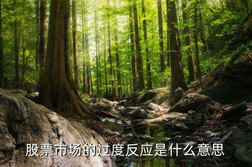 股票市场的过度反应是什么意思