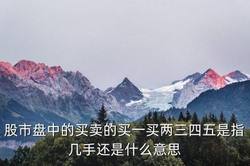 股票买卖105手什么含义，股市盘中的买卖的买一买两三四五是指几手还是什么意思