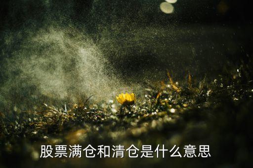 股票出现大满盘是什么意思，股票满仓操作是什么意思