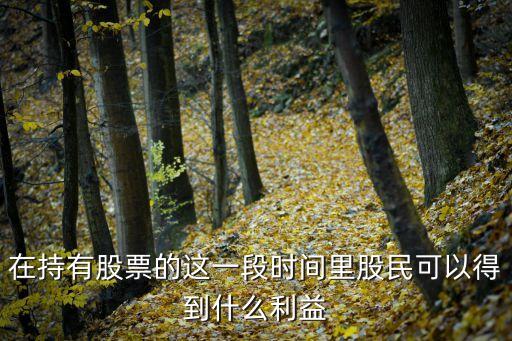 在持有股票的这一段时间里股民可以得到什么利益