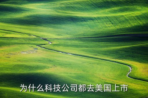 为什么美国的股票都在上市，为什么大公司都要到美国华尔街上市呀