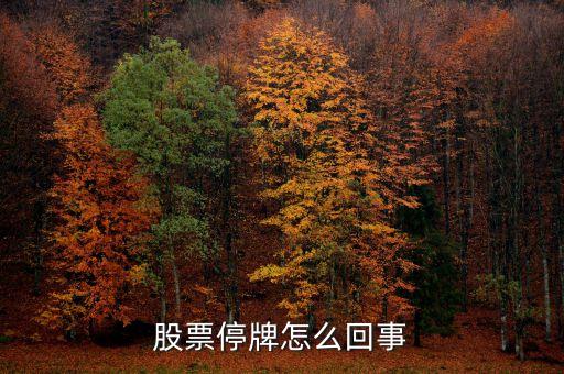 股票停牌怎么回事