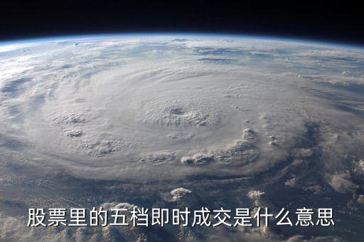 什么是股票即时成交价格，股票里的五档即时成交是什么意思