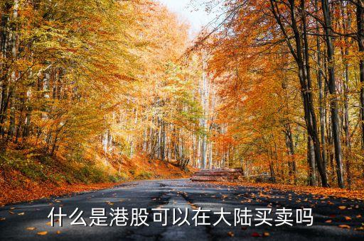 什么是港股可以在大陆买卖吗
