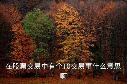 在股票交易中有个T0交易事什么意思啊