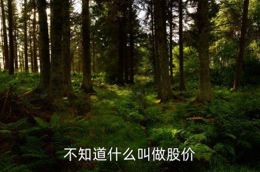 不知道什么叫做股价