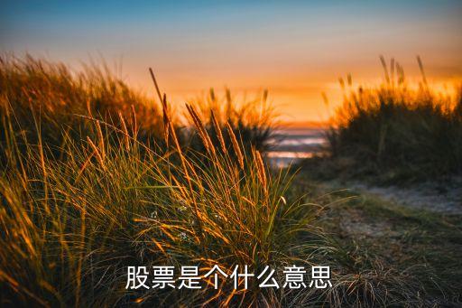 股票是个什么意思