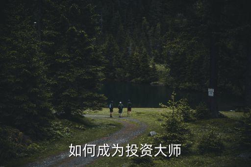 禅师用的什么股票软件，策略大师是干什么的