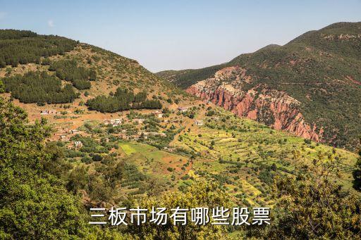 三板市场有哪些股票