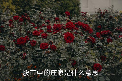 股市中的庄家是什么意思