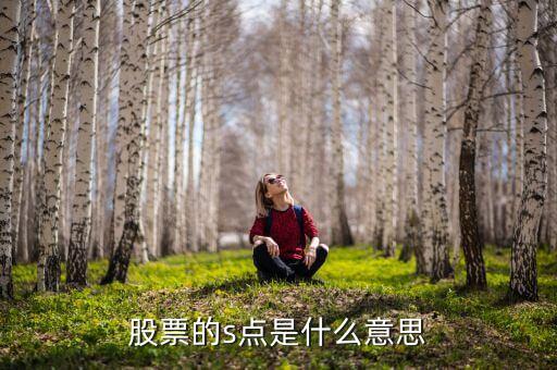 股票的s点是什么意思