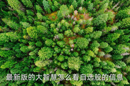 最新版的大智慧怎么看自选股的信息