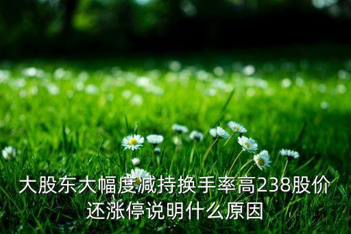 大股东大幅度减持换手率高238股价还涨停说明什么原因