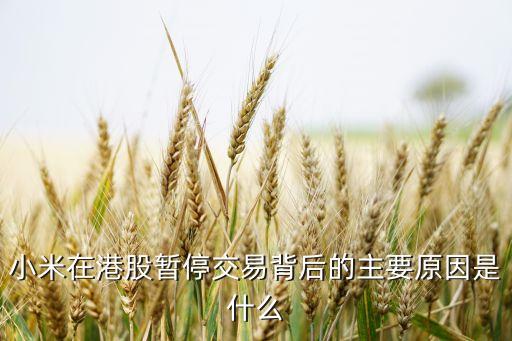 小米在港股暂停交易背后的主要原因是什么