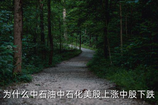 为什么中石油中石化美股上涨中股下跌