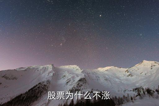 股票为什么不涨