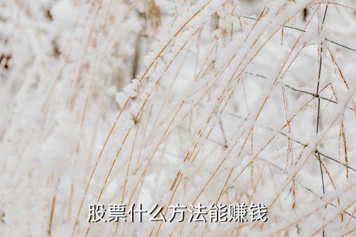 炒股票用什么模式好赚钱，做股票最快盈利的方法是什么