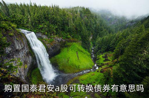 国泰转债对应的是什么股票，购置国泰君安a股可转换债券有意思吗