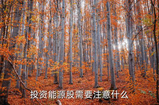 买燃气公司股票注意什么，投资能源股需要注意什么