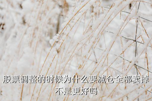 股票调整的时候为什么要减仓全部卖掉不是更好吗