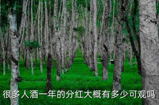 茅台什么时候股票分红最高，白酒最高多少度