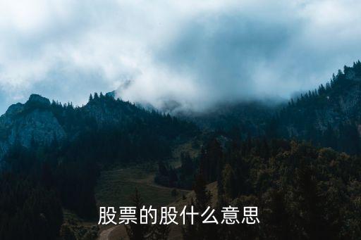 股票的股什么意思