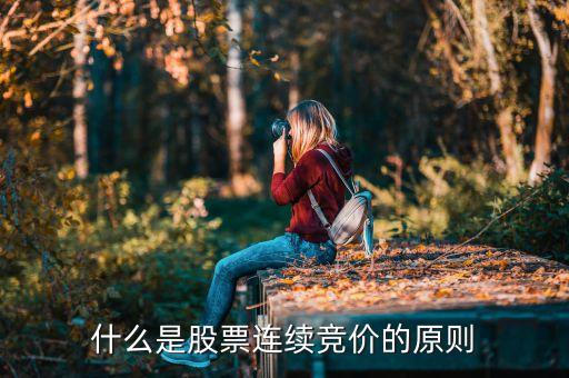 股票里什么叫连续交易啊，什么叫非法连续买卖股票
