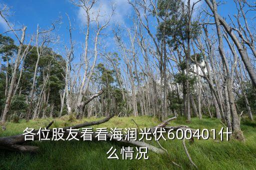 各位股友看看海润光伏600401什么情况
