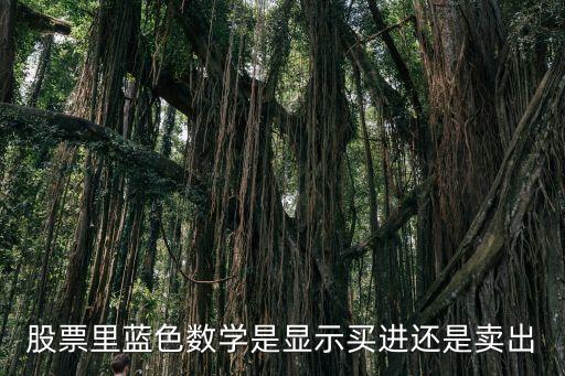 股票里蓝色数学是显示买进还是卖出