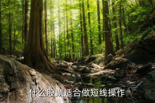 什么股票适合做短线操作
