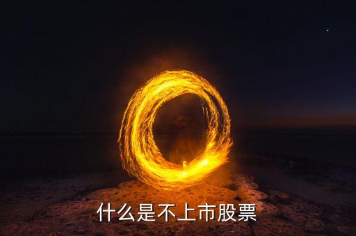 什么是不上市股票