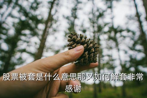 股票被套是什么意思那又如何解套非常感谢